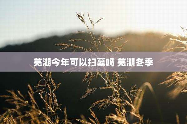 芜湖今年可以扫墓吗 芜湖冬季