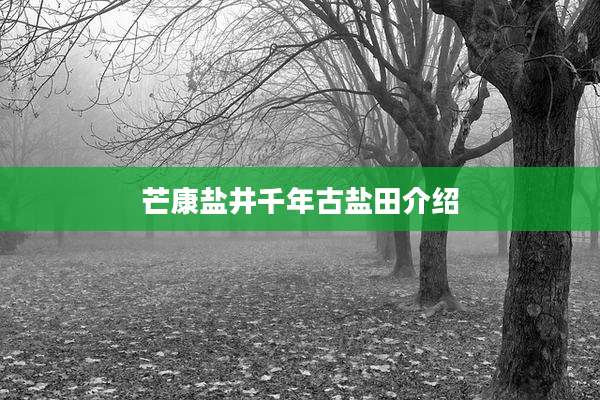 芒康盐井千年古盐田介绍