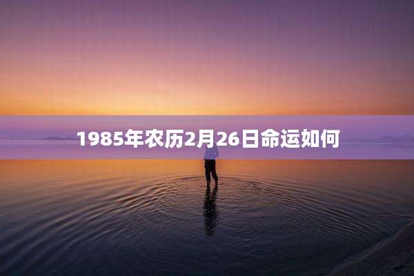 1985年农历2月26日命运如何