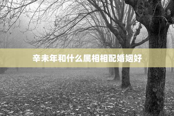 辛未年和什么属相相配婚姻好