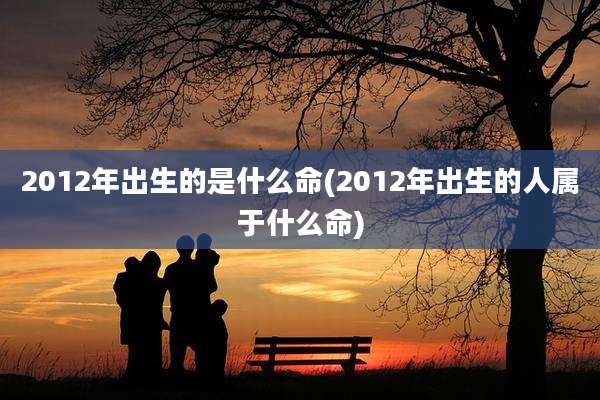 2012年出生的是什么命(2012年出生的人属于什么命)