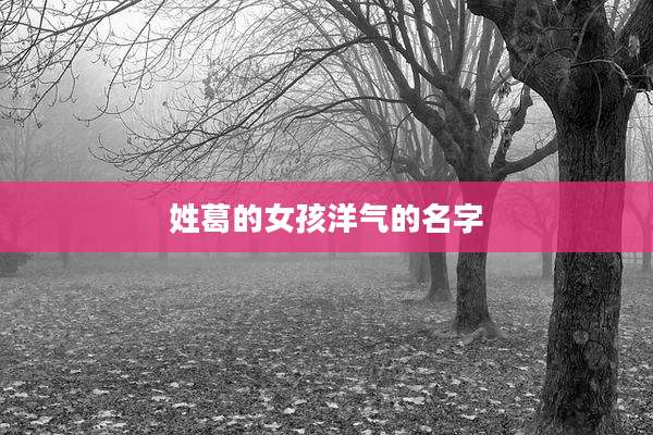 姓葛的女孩洋气的名字