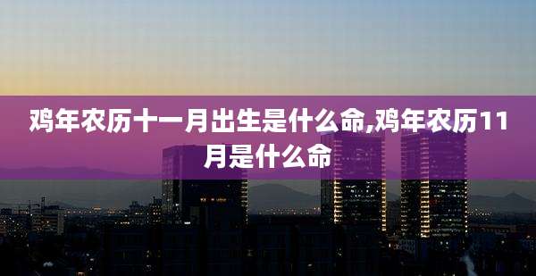 鸡年农历十一月出生是什么命,鸡年农历11月是什么命