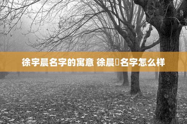 徐宇晨名字的寓意 徐晨玥名字怎么样
