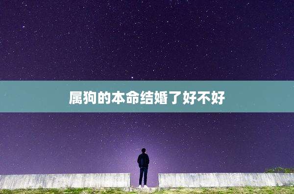 属狗的本命结婚了好不好