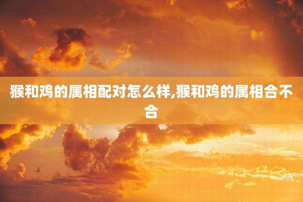 猴和鸡的属相配对怎么样,猴和鸡的属相合不合
