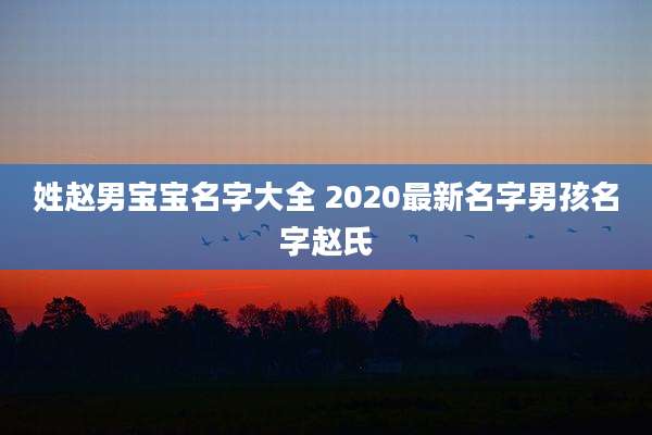 姓赵男宝宝名字大全 2020最新名字男孩名字赵氏