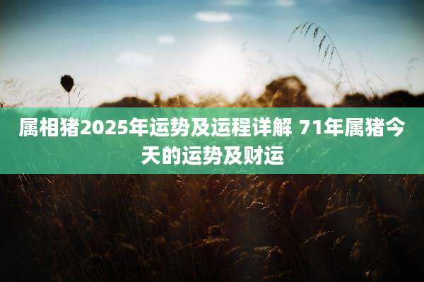 属相猪2025年运势及运程详解 71年属猪今天的运势及财运
