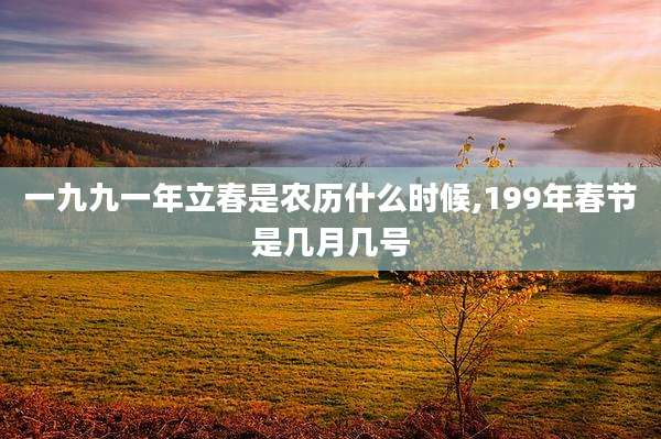 一九九一年立春是农历什么时候,199年春节是几月几号