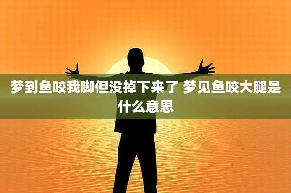 梦到鱼咬我脚但没掉下来了 梦见鱼咬大腿是什么意思