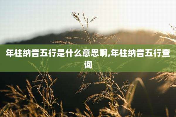 年柱纳音五行是什么意思啊,年柱纳音五行查询
