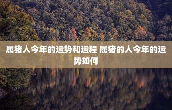属猪人今年的运势和运程 属猪的人今年的运势如何