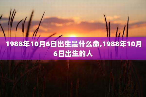 1988年10月6日出生是什么命,1988年10月6日出生的人