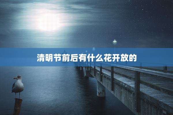 清明节前后有什么花开放的