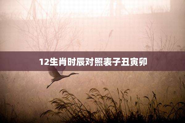 12生肖时辰对照表子丑寅卯