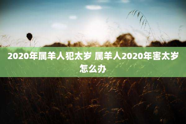 2020年属羊人犯太岁 属羊人2020年害太岁怎么办