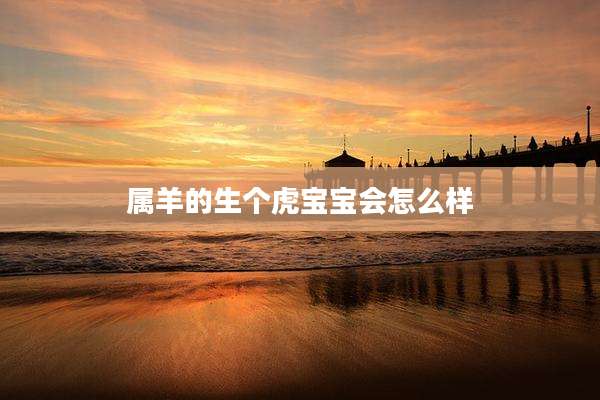 属羊的生个虎宝宝会怎么样