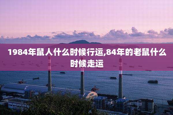 1984年鼠人什么时候行运,84年的老鼠什么时候走运