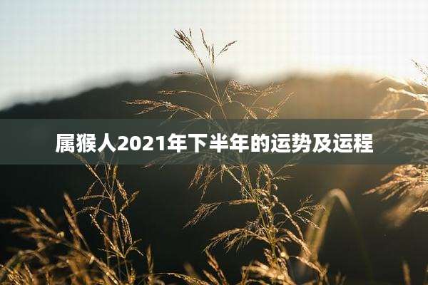 属猴人2021年下半年的运势及运程