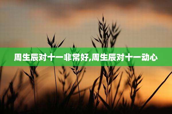 周生辰对十一非常好,周生辰对十一动心