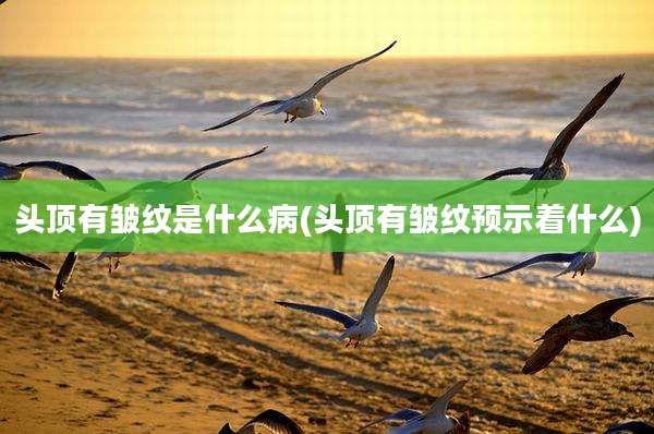 头顶有皱纹是什么病(头顶有皱纹预示着什么)
