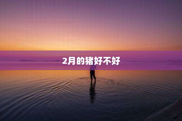 2月的猪好不好