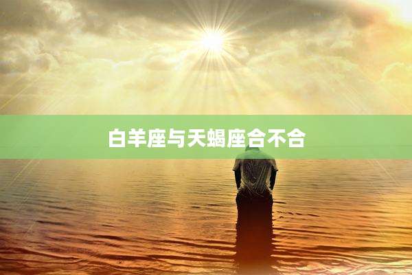 白羊座与天蝎座合不合
