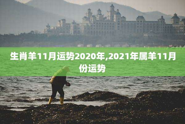 生肖羊11月运势2020年,2021年属羊11月份运势