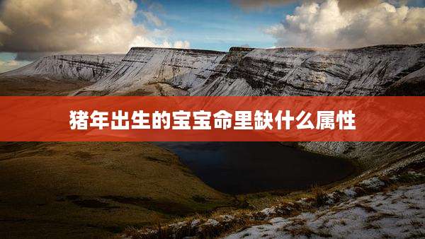 猪年出生的宝宝命里缺什么属性