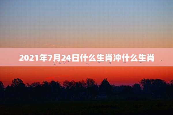 2021年7月24日什么生肖冲什么生肖