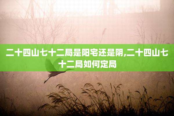 二十四山七十二局是阳宅还是阴,二十四山七十二局如何定局