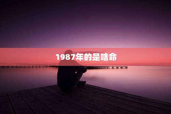 1987年的是啥命