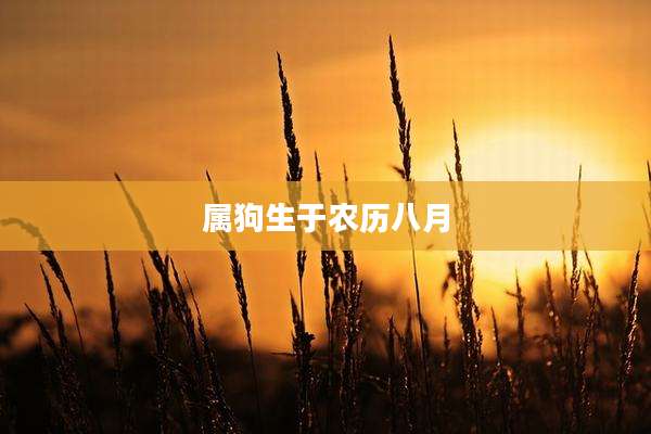属狗生于农历八月