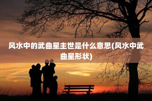 风水中的武曲星主世是什么意思(风水中武曲星形状)