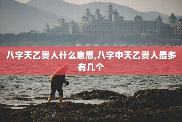 八字天乙贵人什么意思,八字中天乙贵人最多有几个