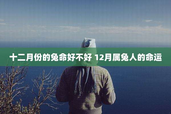 十二月份的兔命好不好 12月属兔人的命运