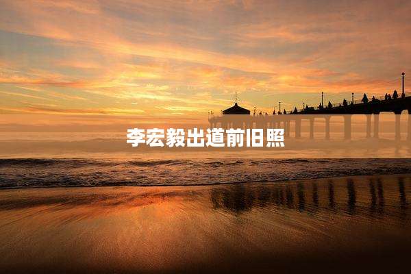 李宏毅出道前旧照