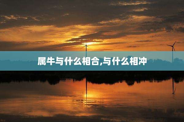 属牛与什么相合,与什么相冲