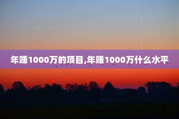 年赚1000万的项目,年赚1000万什么水平