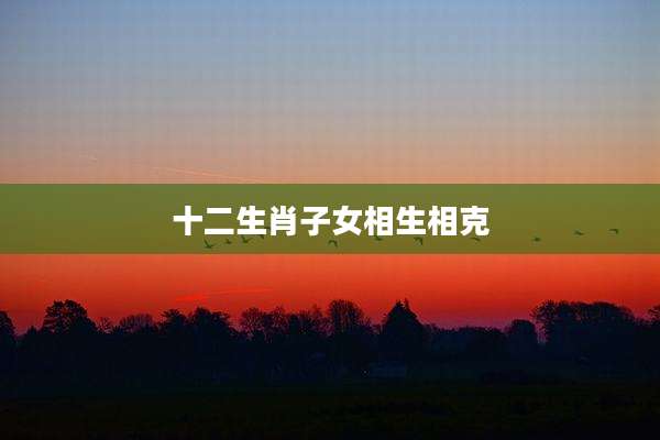 十二生肖子女相生相克