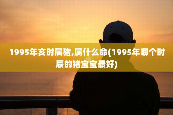1995年亥时属猪,属什么命(1995年哪个时辰的猪宝宝最好)