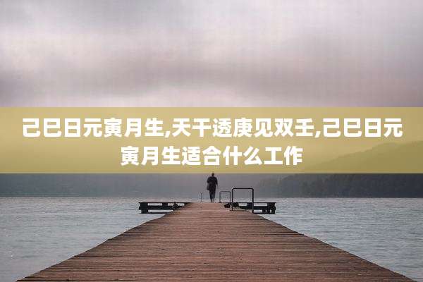 己巳日元寅月生,天干透庚见双壬,己巳日元寅月生适合什么工作