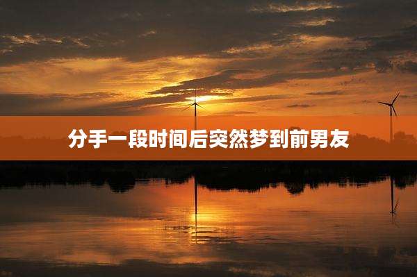 分手一段时间后突然梦到前男友