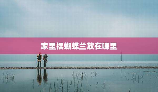 家里摆蝴蝶兰放在哪里