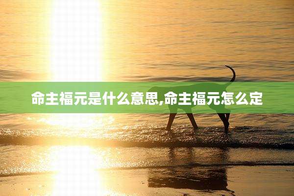 命主福元是什么意思,命主福元怎么定