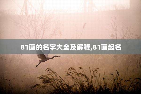 81画的名字大全及解释,81画起名