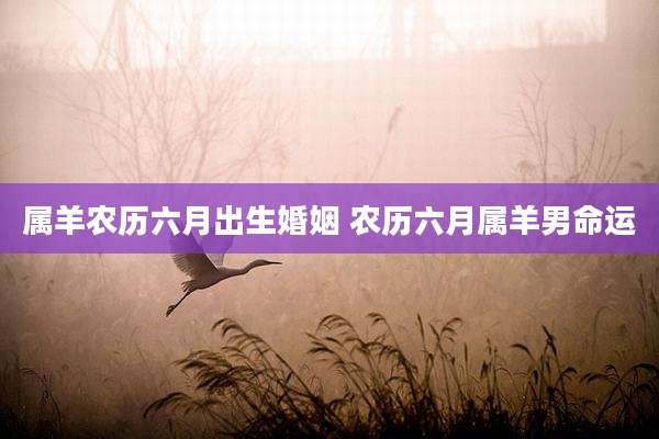 属羊农历六月出生婚姻 农历六月属羊男命运