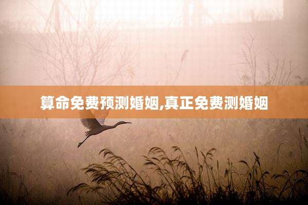算命免费预测婚姻,真正免费测婚姻