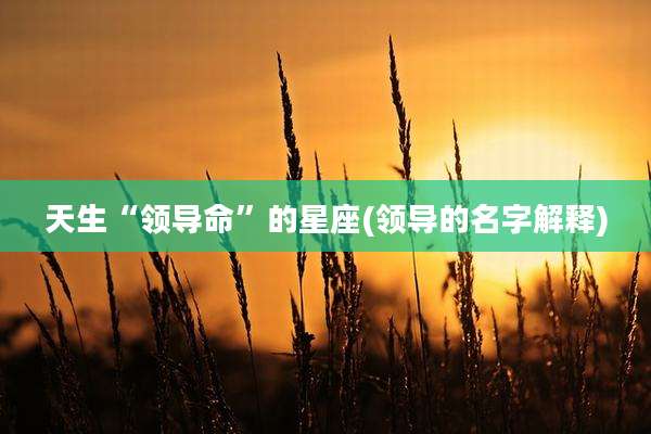 天生“领导命”的星座(领导的名字解释)