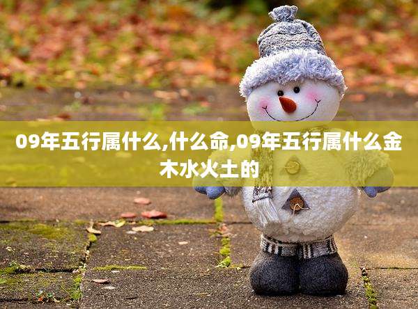 09年五行属什么,什么命,09年五行属什么金木水火土的